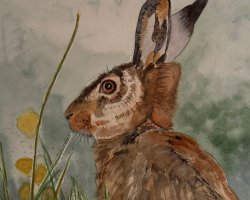 Bild Nr. 93 / Hase braun