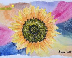 Bild Nr. 91 / Sonnenblume