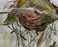 Bild Nr. 97 / Vogel im Nest